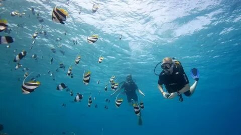 Scuba Diving Maldives